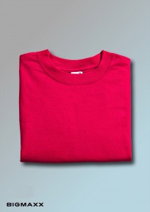 Anvil T-Shirt in rot